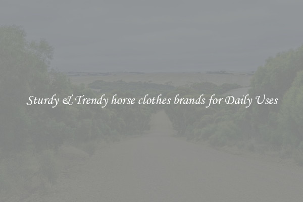 Sturdy & Trendy horse clothes brands for Daily Uses