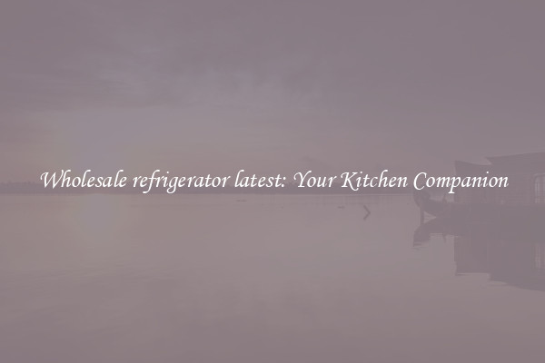 Wholesale refrigerator latest: Your Kitchen Companion