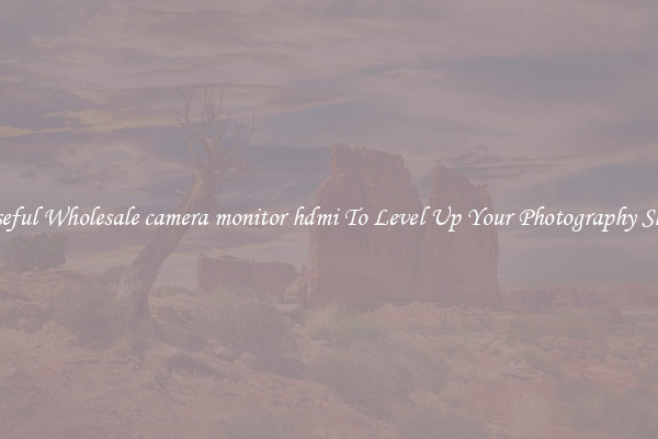 Useful Wholesale camera monitor hdmi To Level Up Your Photography Skill