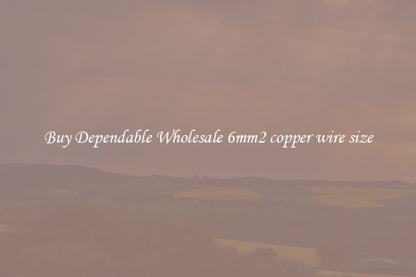 Buy Dependable Wholesale 6mm2 copper wire size