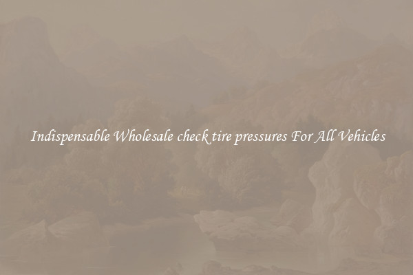 Indispensable Wholesale check tire pressures For All Vehicles