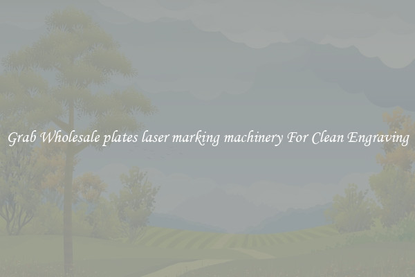 Grab Wholesale plates laser marking machinery For Clean Engraving