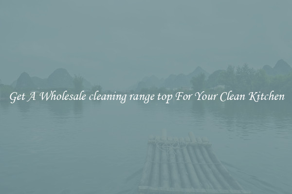 Get A Wholesale cleaning range top For Your Clean Kitchen