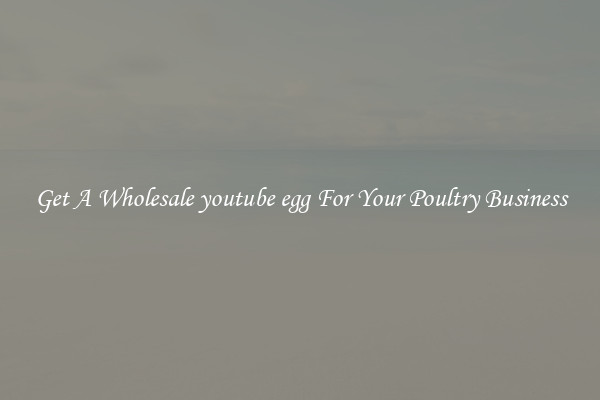 Get A Wholesale youtube egg For Your Poultry Business