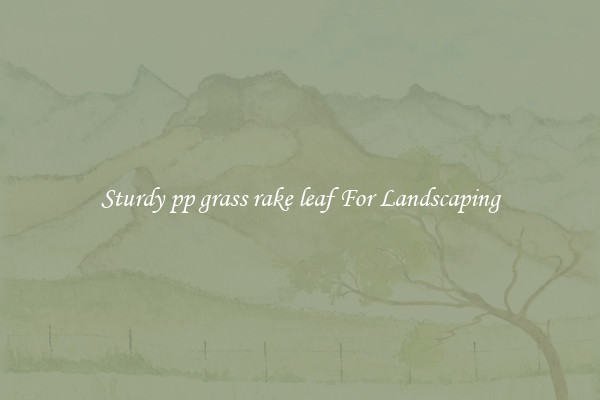 Sturdy pp grass rake leaf For Landscaping