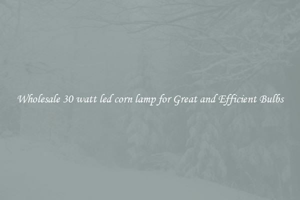 Wholesale 30 watt led corn lamp for Great and Efficient Bulbs