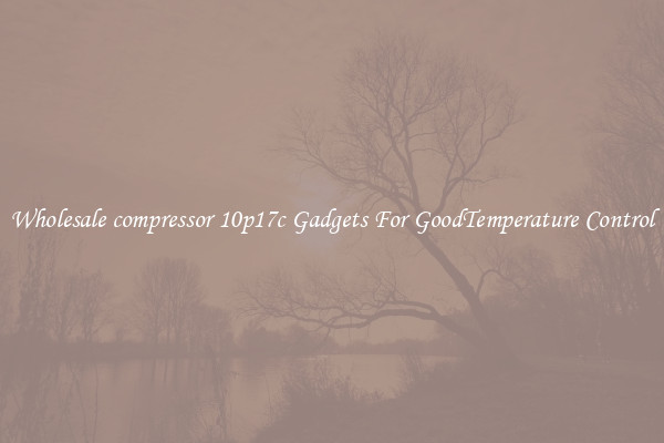 Wholesale compressor 10p17c Gadgets For GoodTemperature Control