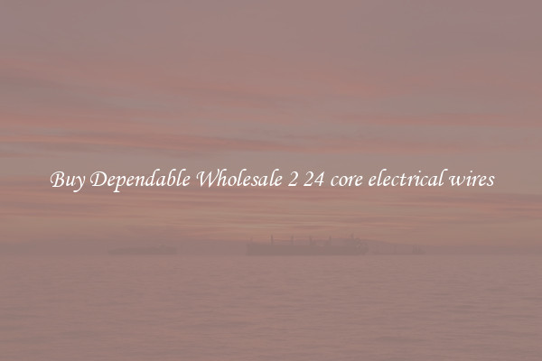 Buy Dependable Wholesale 2 24 core electrical wires
