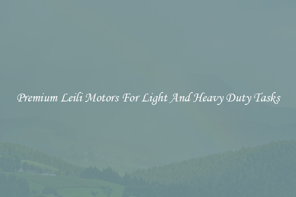 Premium Leili Motors For Light And Heavy Duty Tasks
