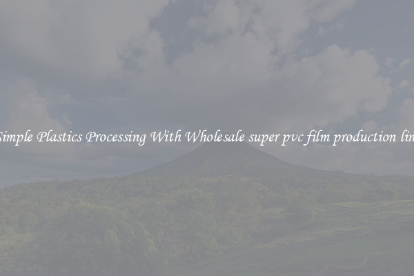 Simple Plastics Processing With Wholesale super pvc film production line