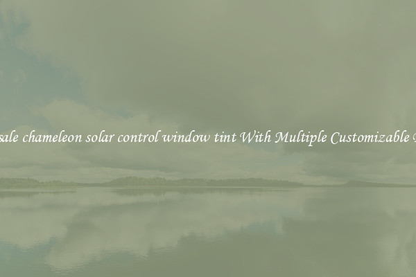 Wholesale chameleon solar control window tint With Multiple Customizable Designs