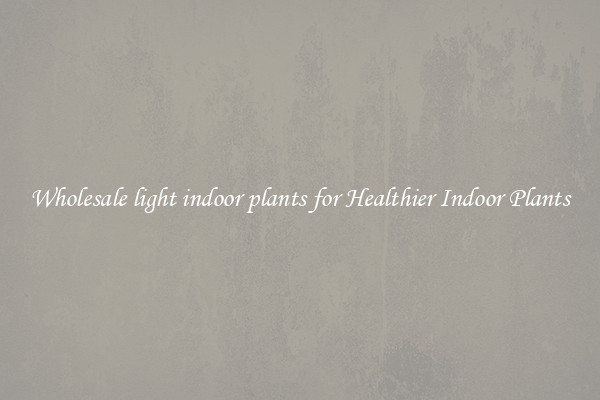 Wholesale light indoor plants for Healthier Indoor Plants