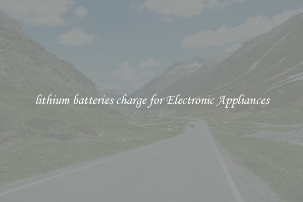 lithium batteries charge for Electronic Appliances