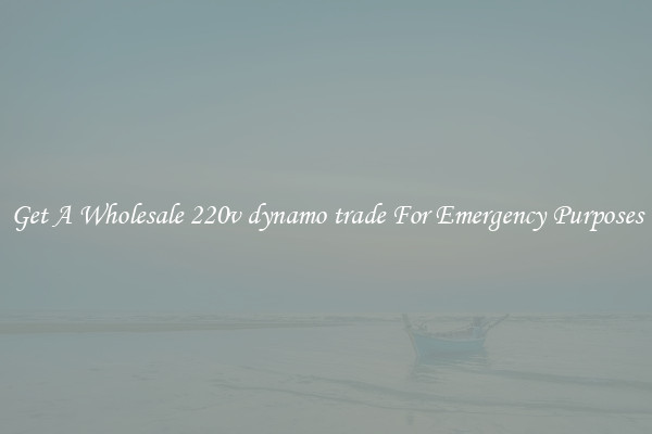 Get A Wholesale 220v dynamo trade For Emergency Purposes