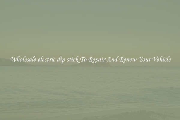 Wholesale electric dip stick To Repair And Renew Your Vehicle