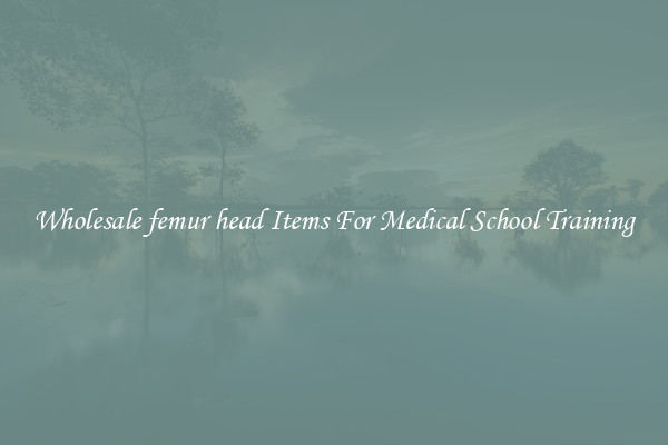 Wholesale femur head Items For Medical School Training